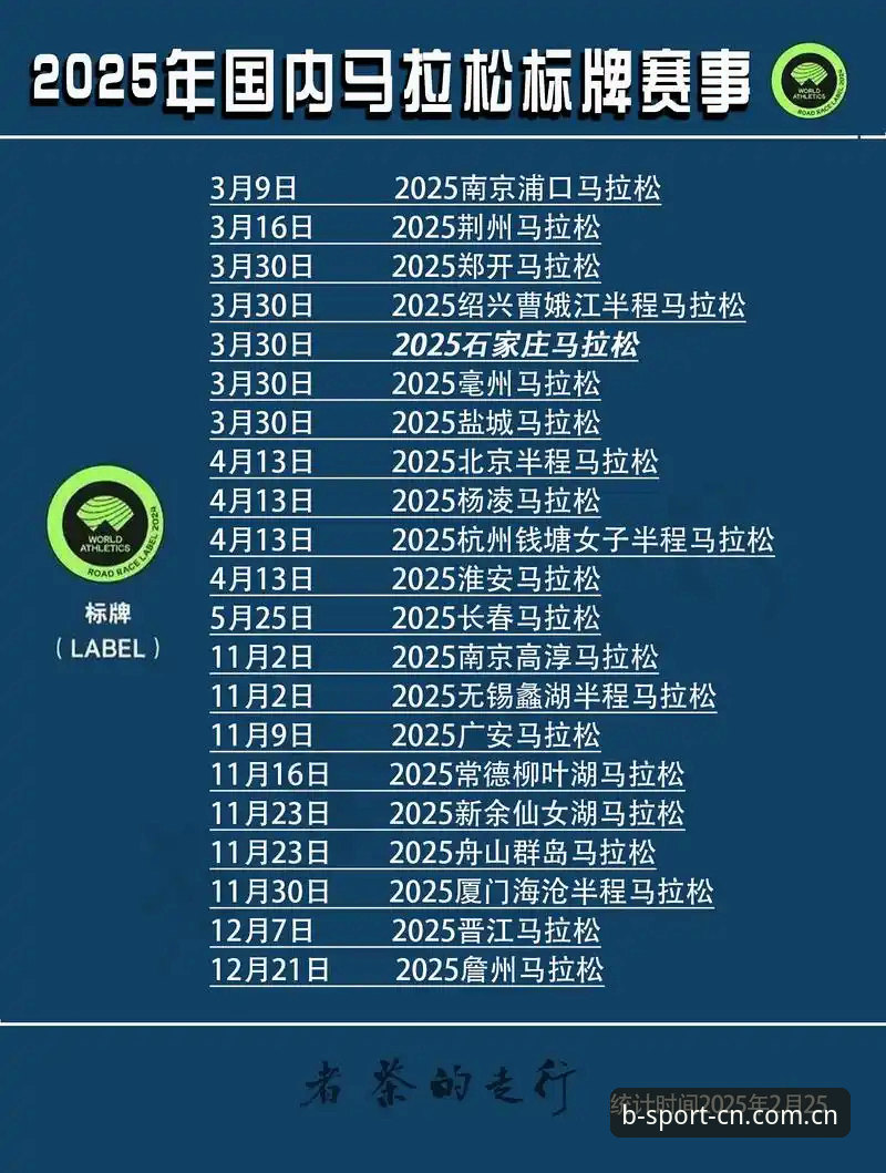 B体育安卓版登录失败修复方案最新动态：2025赛事数据平台兼容性全解析