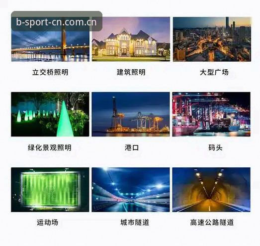 B体育官方版使用指南：从更新到实战的全面解析